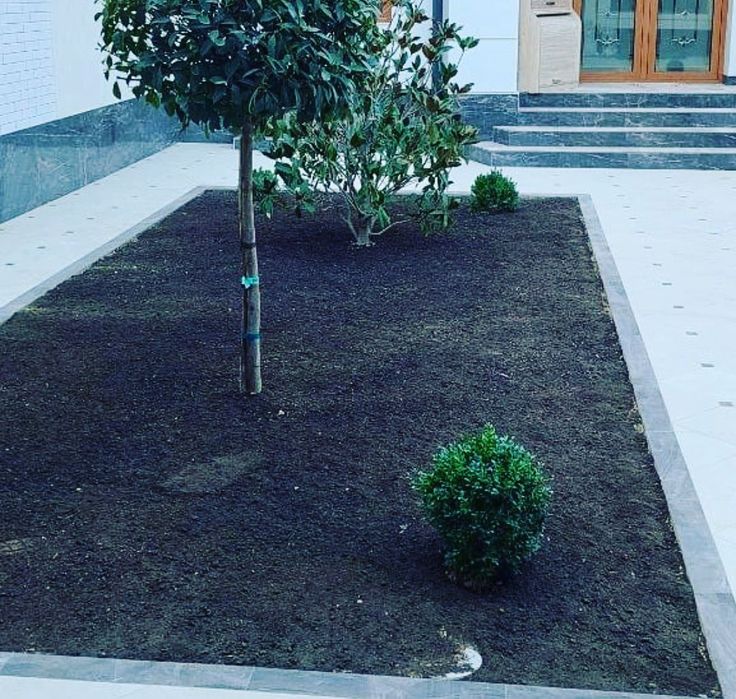 Газон екамиз палив монтаж киламиз ландшафт ктламиз