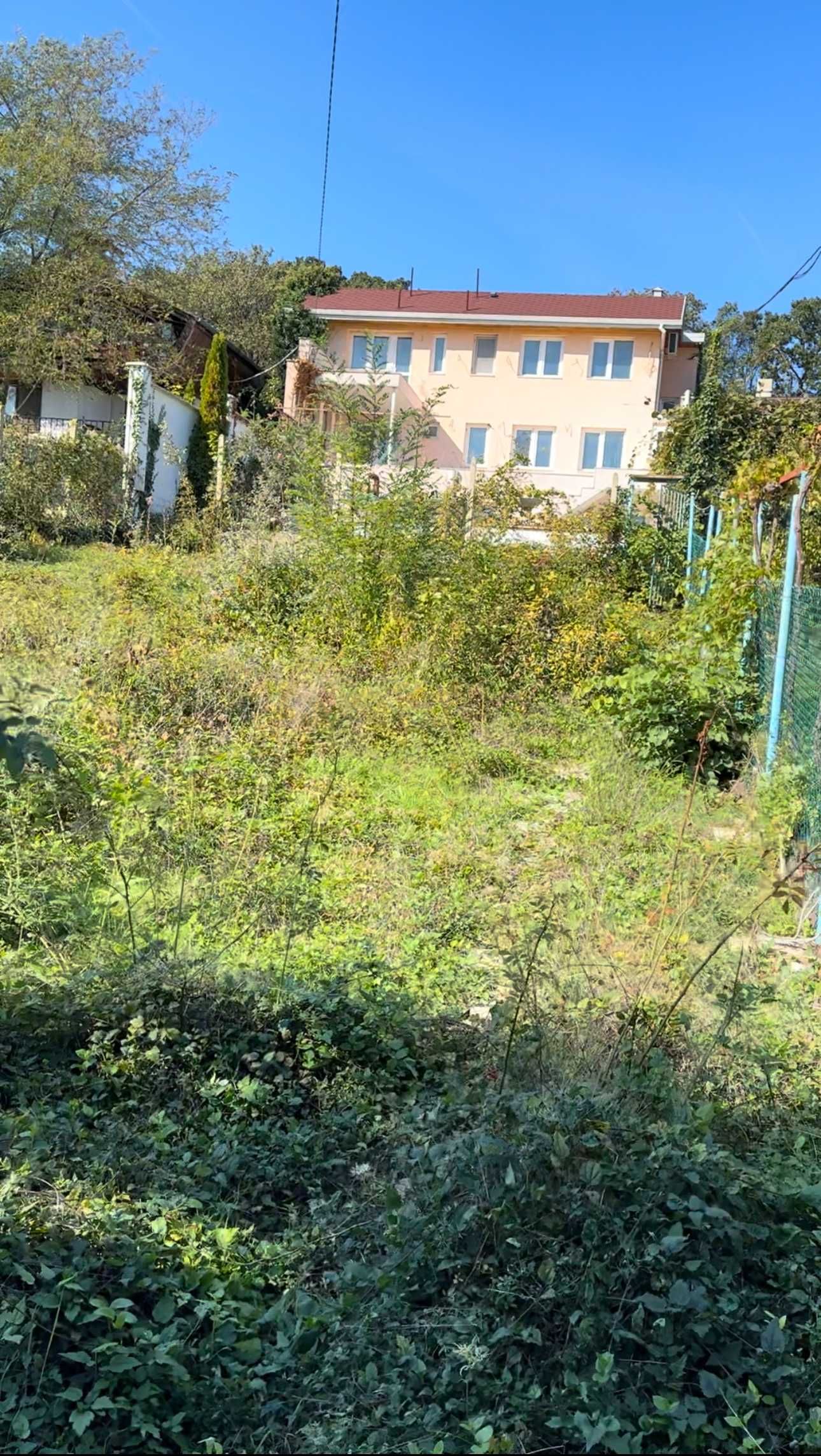 Почистване на Дворове и Парцели (Рязане на дървета)