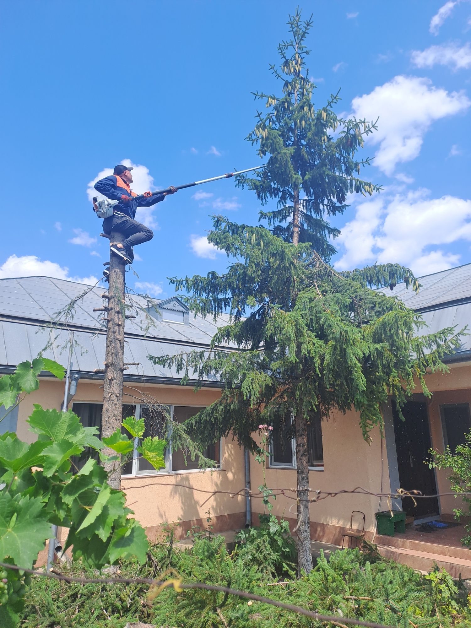 Tăiere/Toaletare Arbori/Interventi Non Stop.