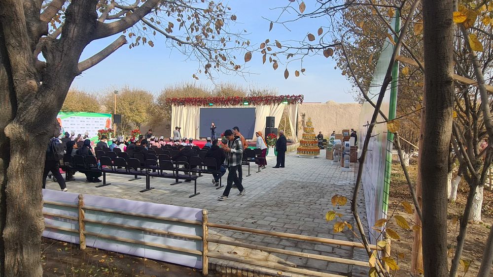 Экран (Монитор) Ижарага берилади