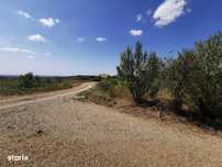 Teren intravilan de vanzare, 3.500 mp, cu front stradal de 21,5 ml