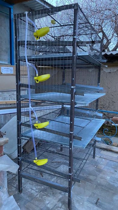 Клетка для Перепела Бодене