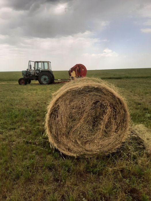 Продам сено рулонное