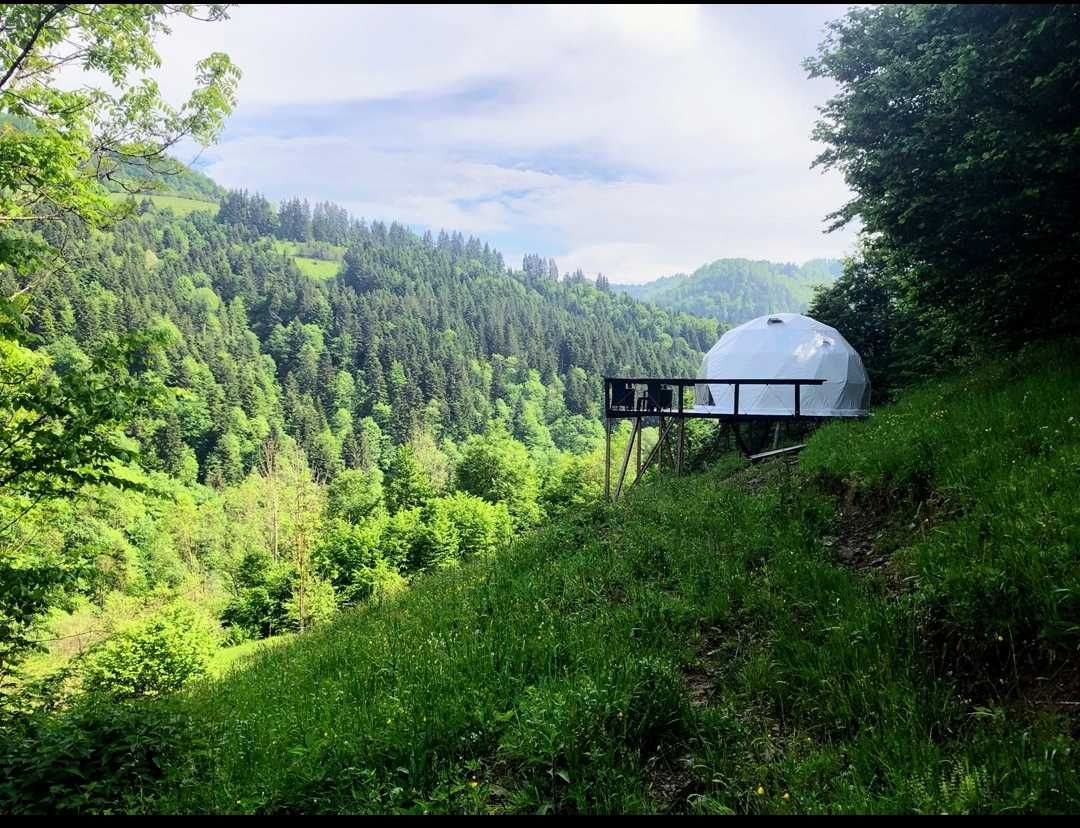 Afacere glamping, teren + casă pe Transapuseana