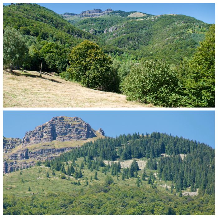 Panasonic Lumix TZ101