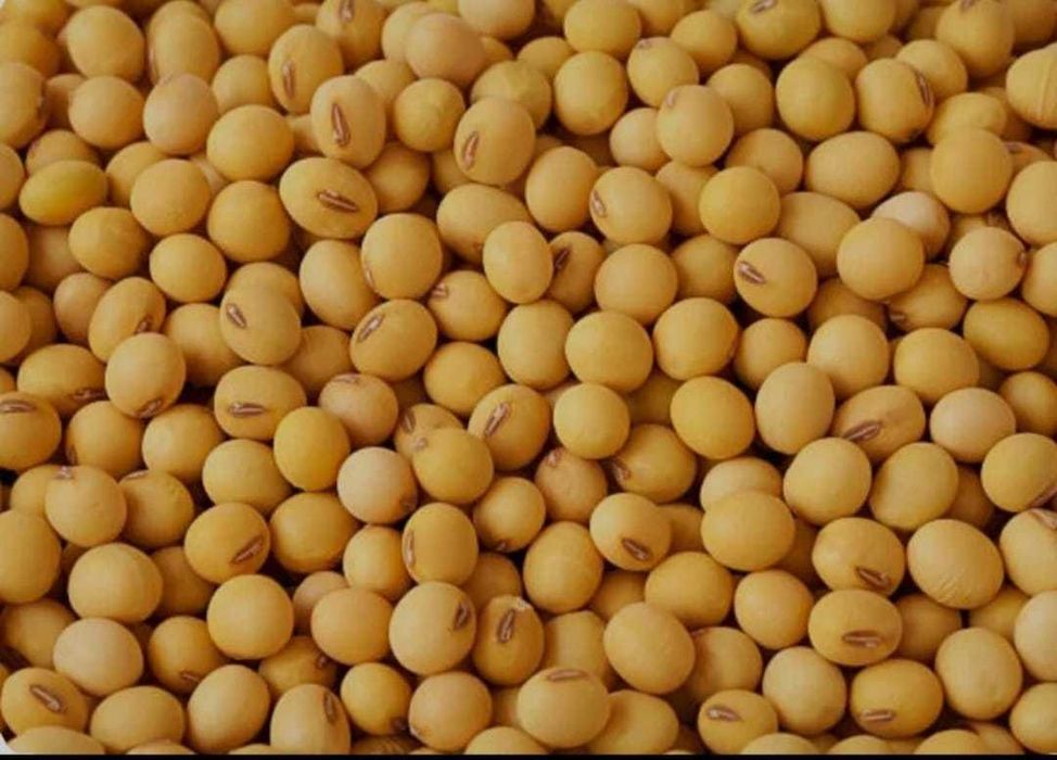 Soia boabe prod 2025