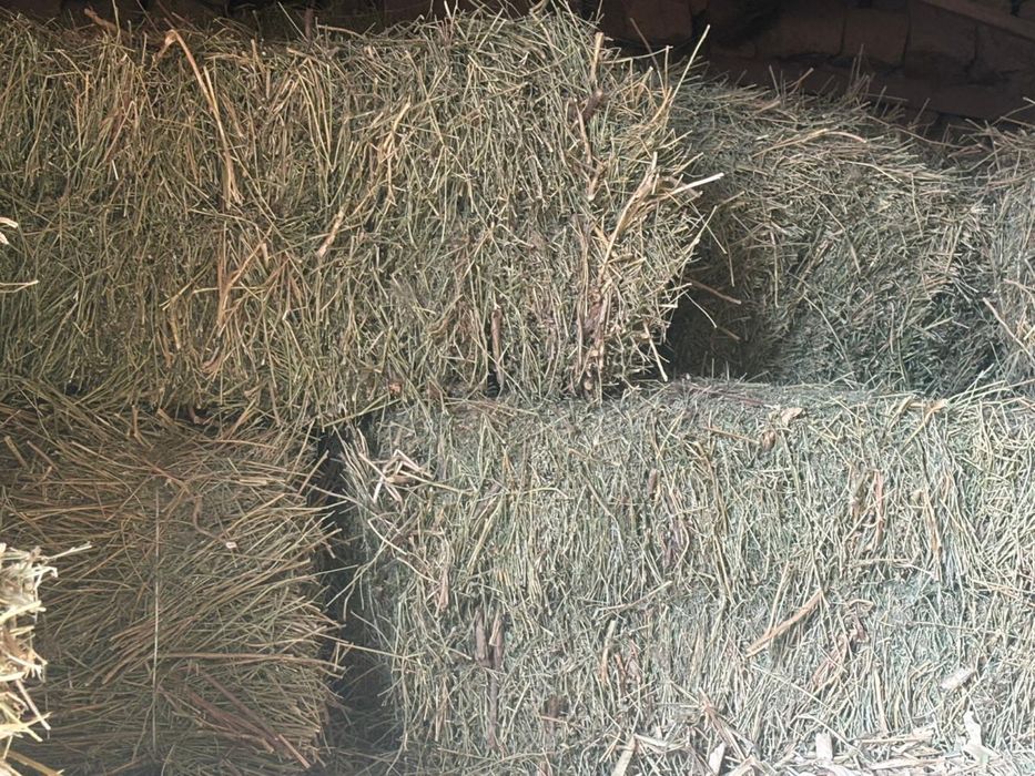 Жоңышка прес шоп