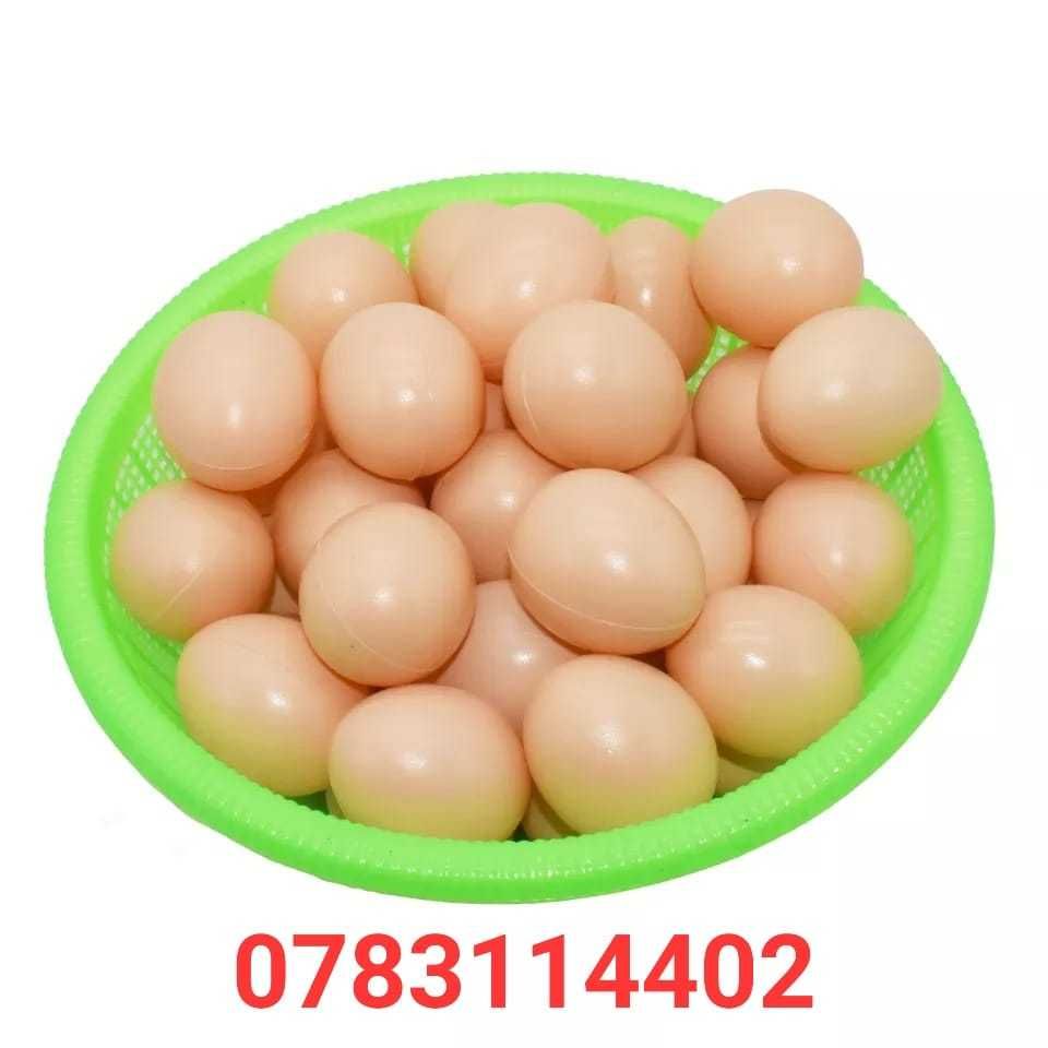 Descurajează consumarea Ouălor-Ou FALS de plastic pt Găini Puicute-Oua