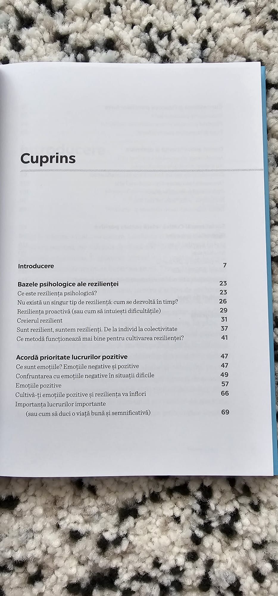 Rezilienta - cum ma ridic dupa ce am cazut