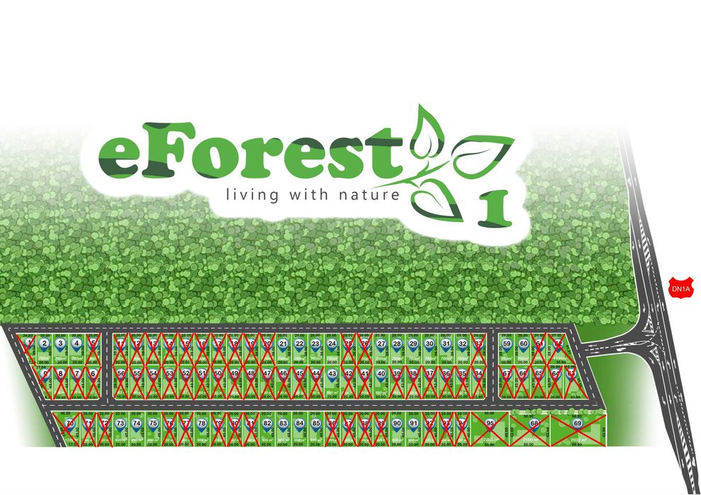 Loturi de teren lângă pădure