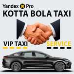 Vip taxi service