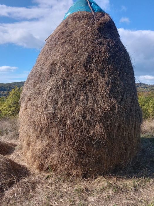 Vand claie de fan   In comuna Tigveni sat vladesti