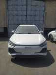 BYD E2 (405 km) Probeg: 0 km