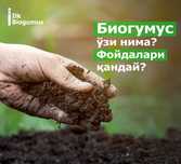 Биогумус - Biogumus