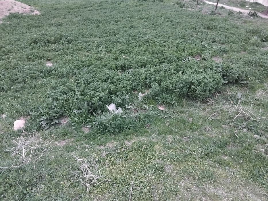 Yer uchastka sotiladi  Ягибазар