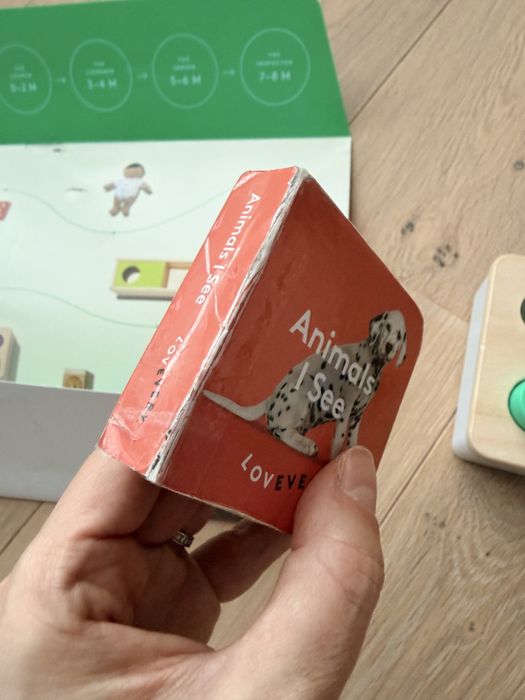 Set Lovevery 11-12 luni The Thinker