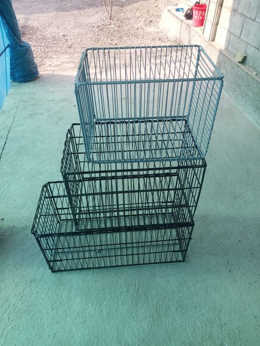 Qopqon tulki mishiq chiyaburi uchun