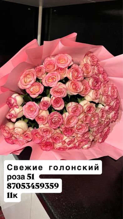 Свежый голандиялық 51 штук роза сатылады