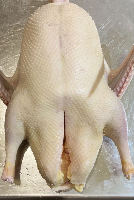 Гуси жирные (Сортировка)