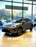 BYD yuan plus smart