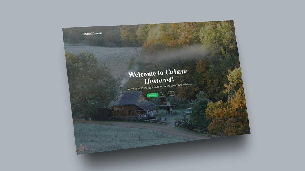 Servicii web development/app development/branding/SEO, PrimoStudio.net