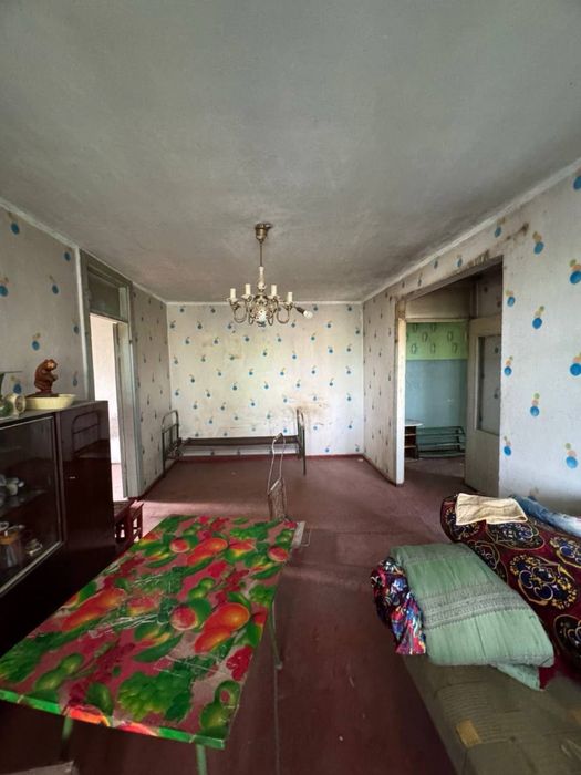 Ватный кота йулди буйида