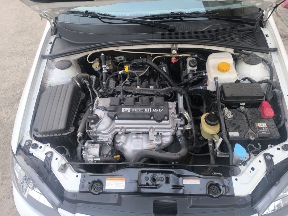 Жентра jentra 2023