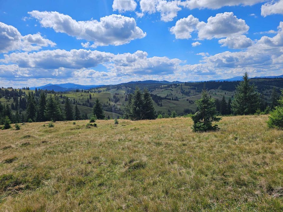 Proprietate de vanzare 92.554.mp ( 9.25 ha) in Bucovina zona Breaza