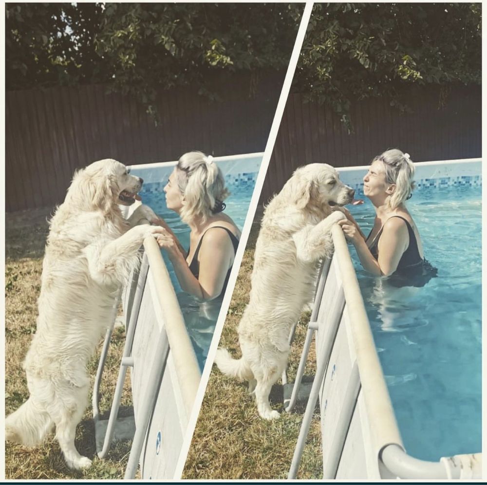 Pet sitter/ bona animale de companie