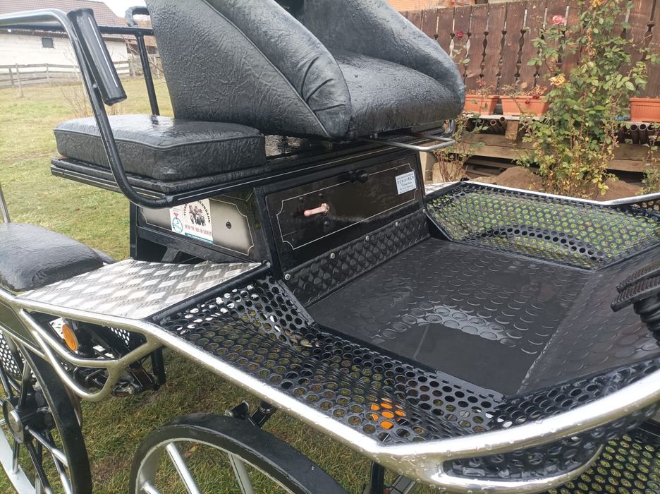 Trasura Maraton Germania