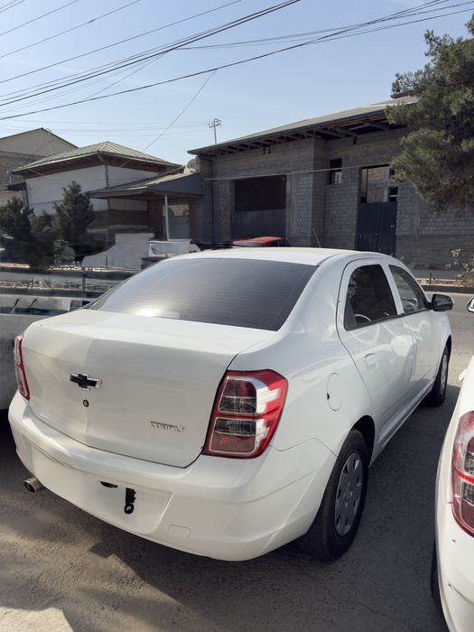 Kobult stochno sotiladi