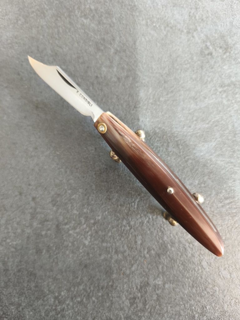 Briceag F. Consigli