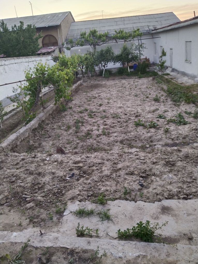 Ховли сотилади дом