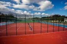 Antrenor Tenis de camp