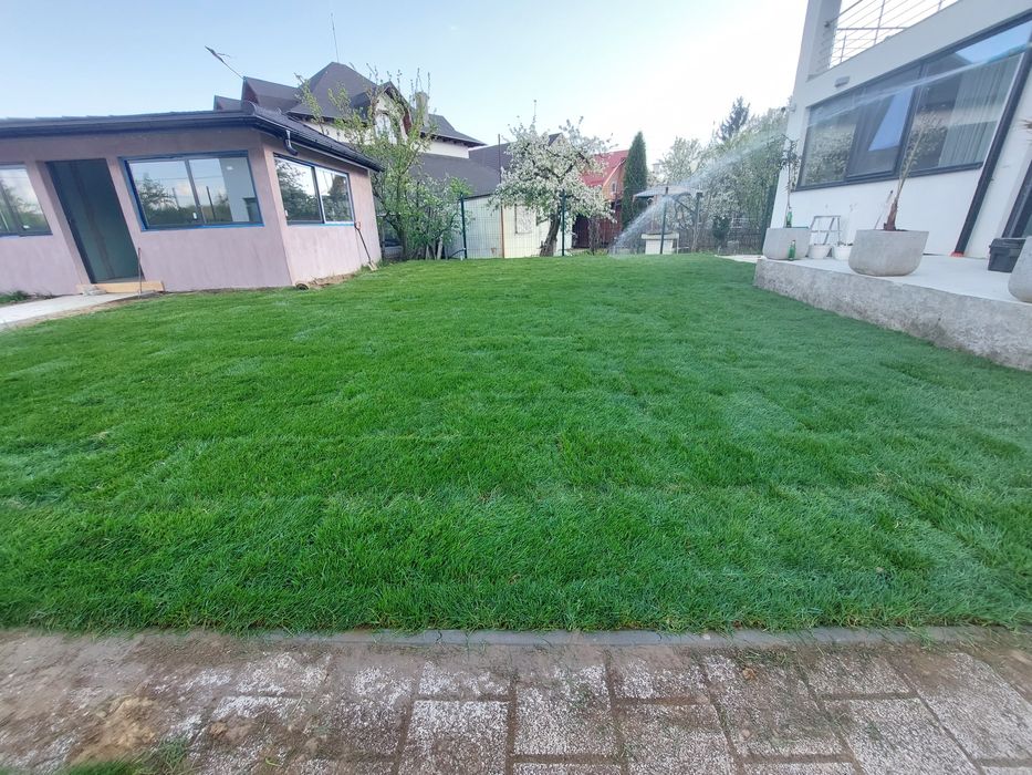 Amenajări grădini gazon și plante ornamentale