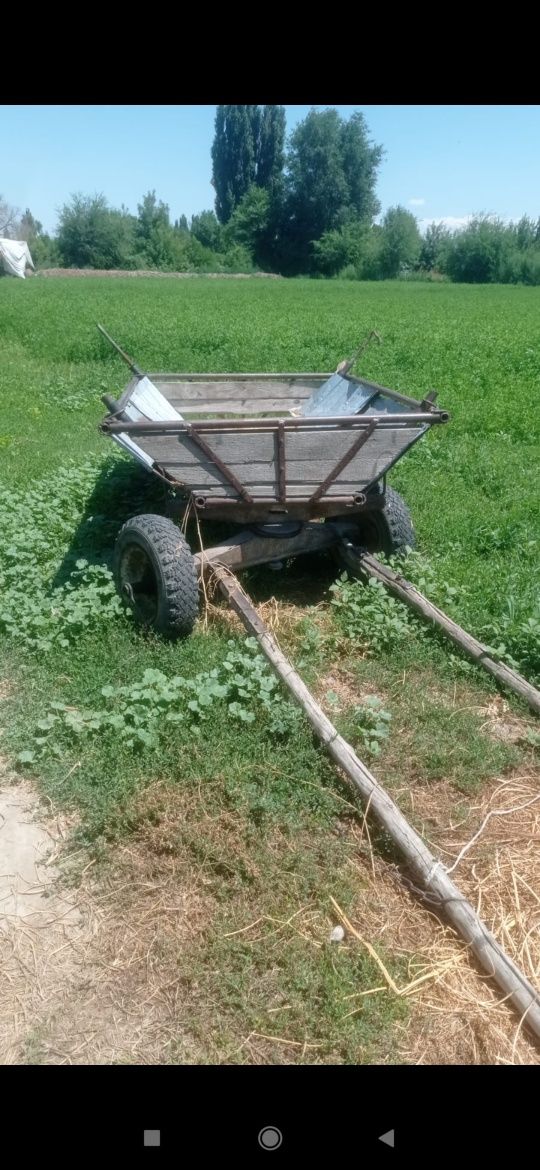 Продам Ишачку с ишачонком и брычкой