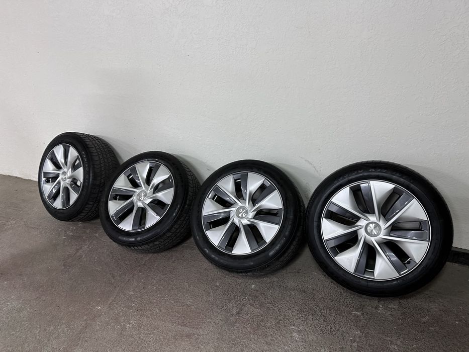 Diska balon Tesla model Y