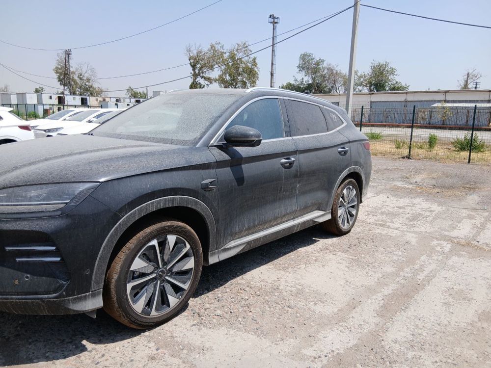 BYD chempion smart