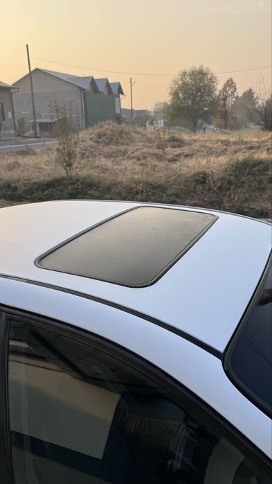 Oq rangli jentra sotaman, Onam haydaganlar