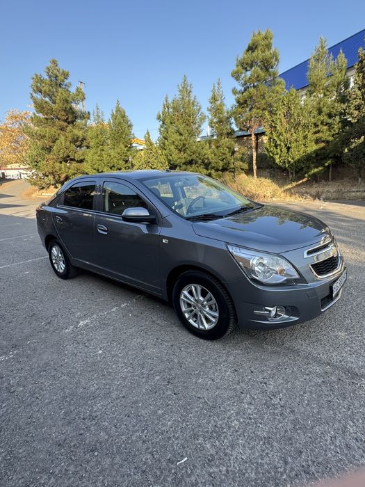 Sotiladi srochna kobalt 2024