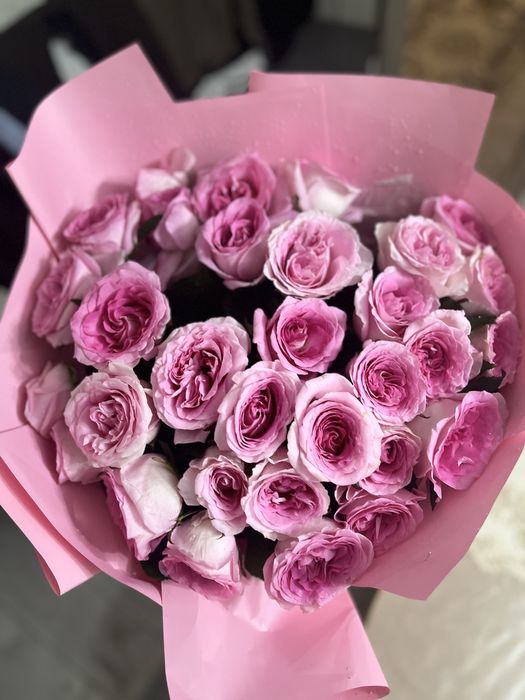 Продам цветы срочно! 9 и 31 штук цветы