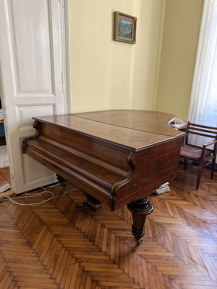 Gran Piano Remenyi Mihaly Budapest