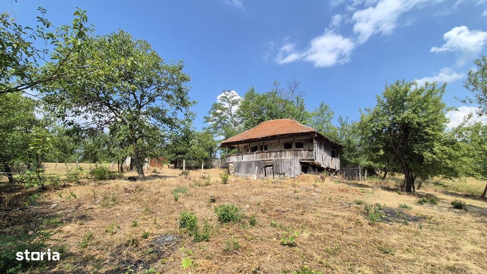 Vanzare proprietate in apropiere de complex turistic Musetesti