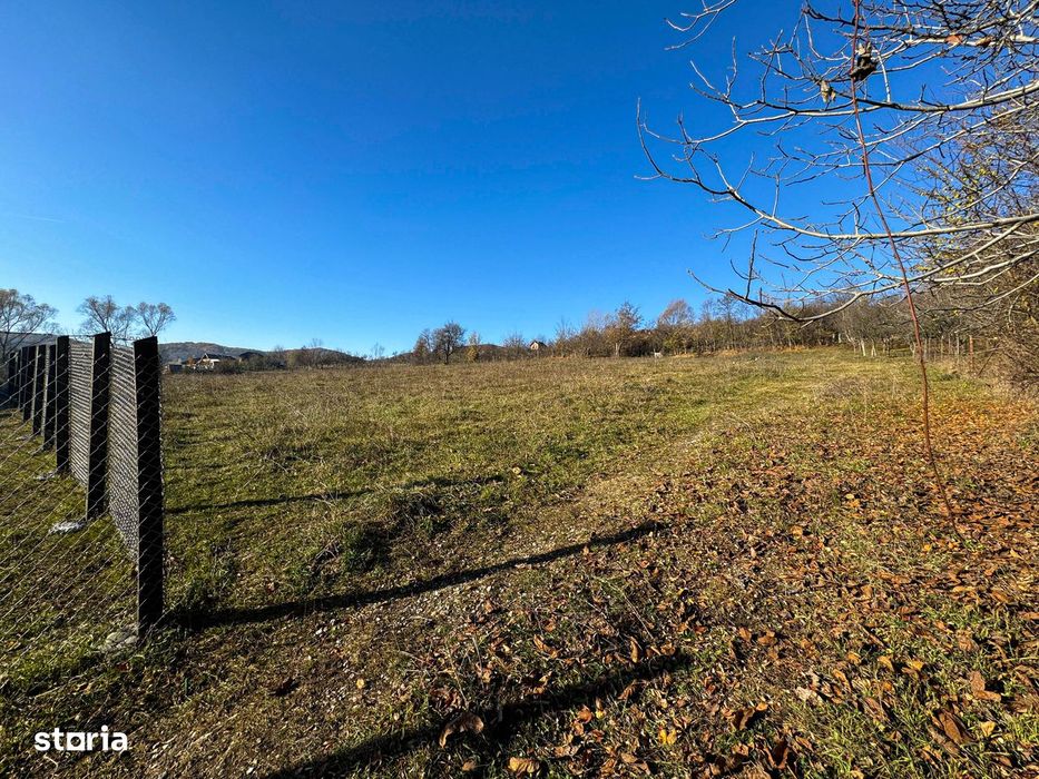Teren intravilan - 1000mp - Pausesti Maglas | VALCEA