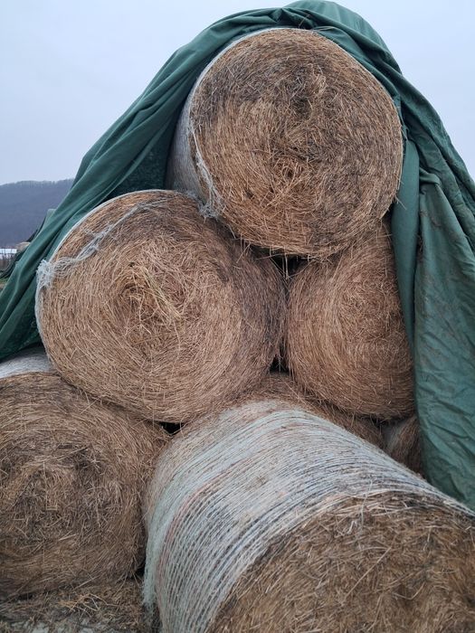 Baloti lucernă coasa 3-4