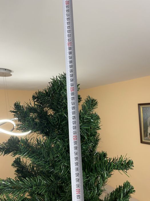 Коледна елха в много добро състояние