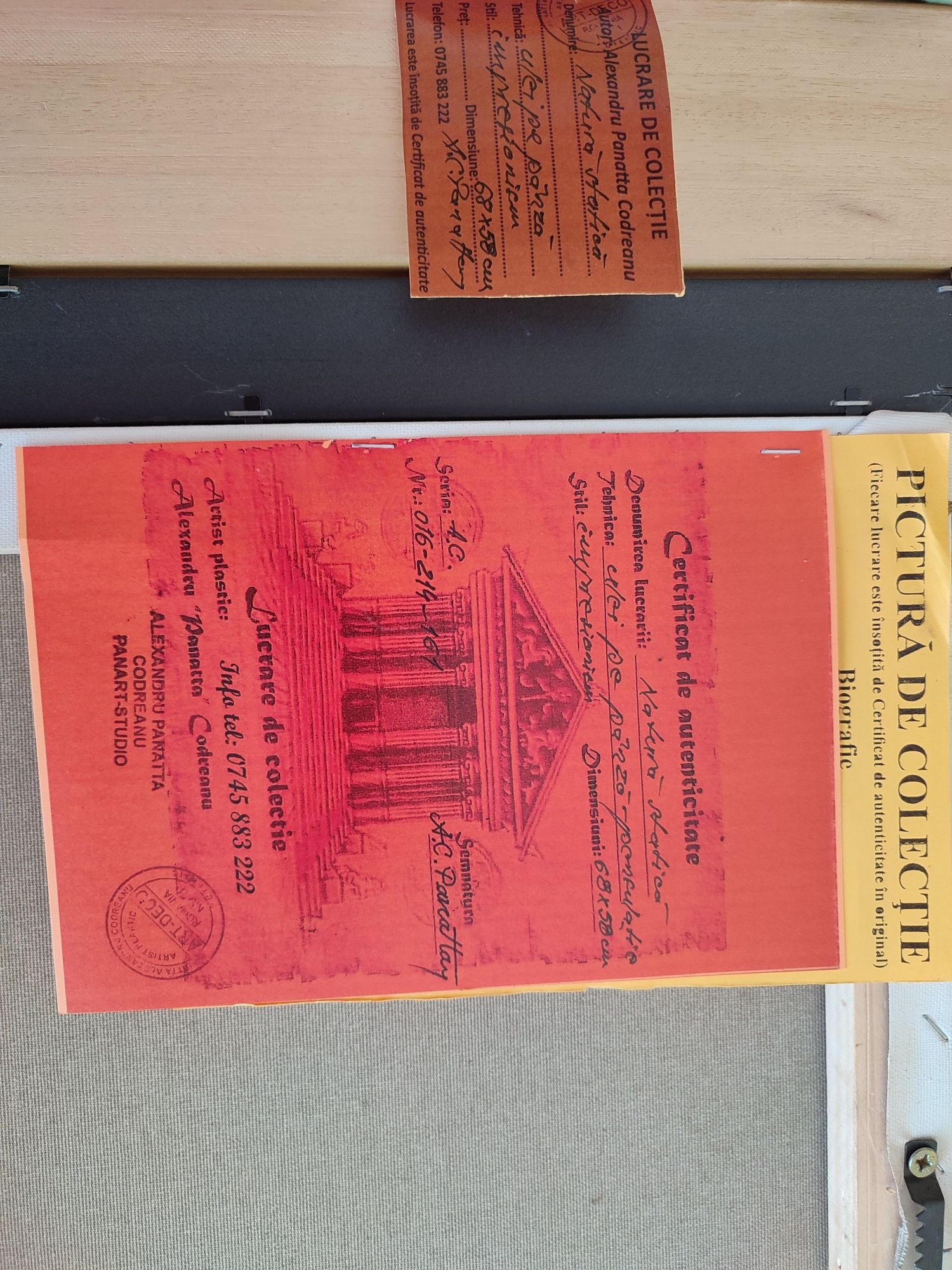 Pictura -Alexandru Panatta Codreanu, cu certificat de colectionar.