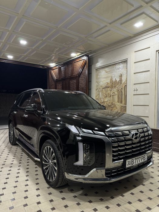 Hyundai Palisade full