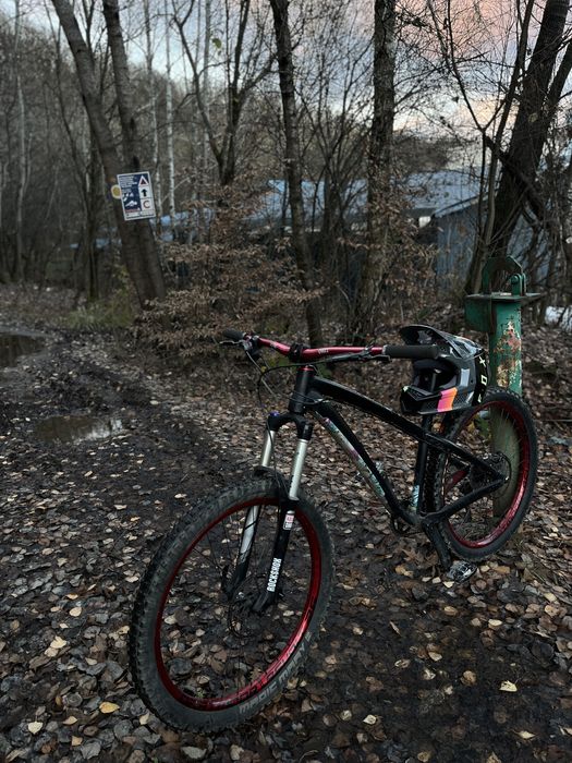 Dartmoor Hornet 2018 26