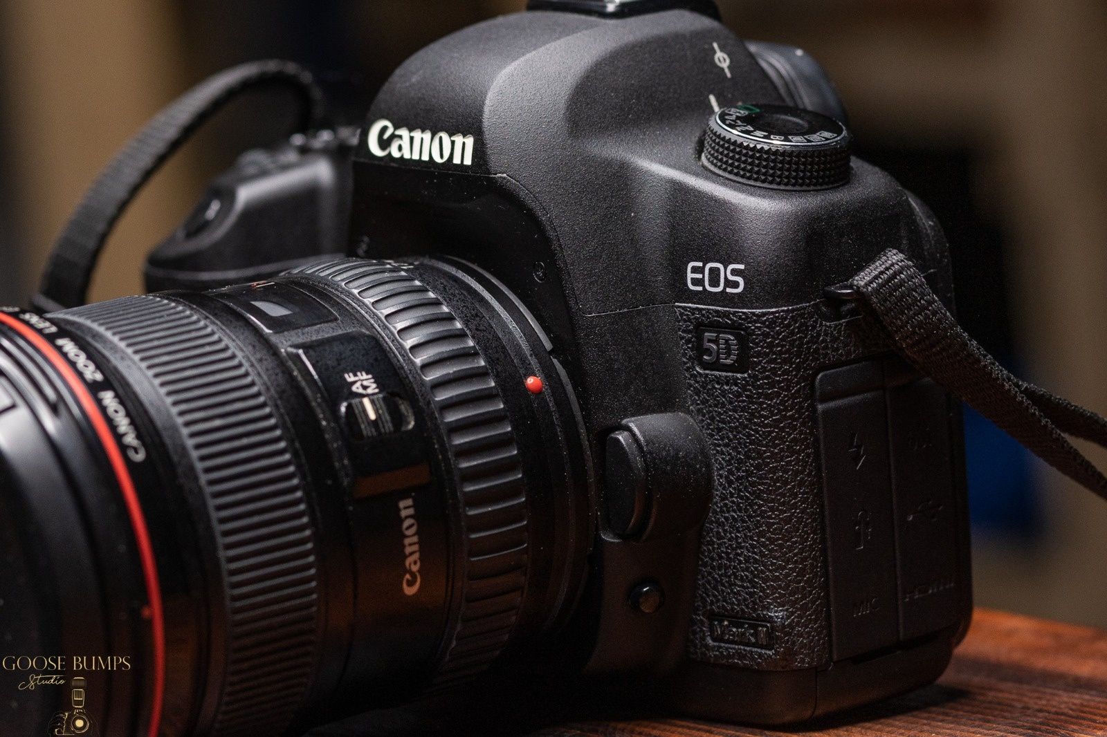 Canon Eos 5d Mark II(CANON EOS 5D MARK II)